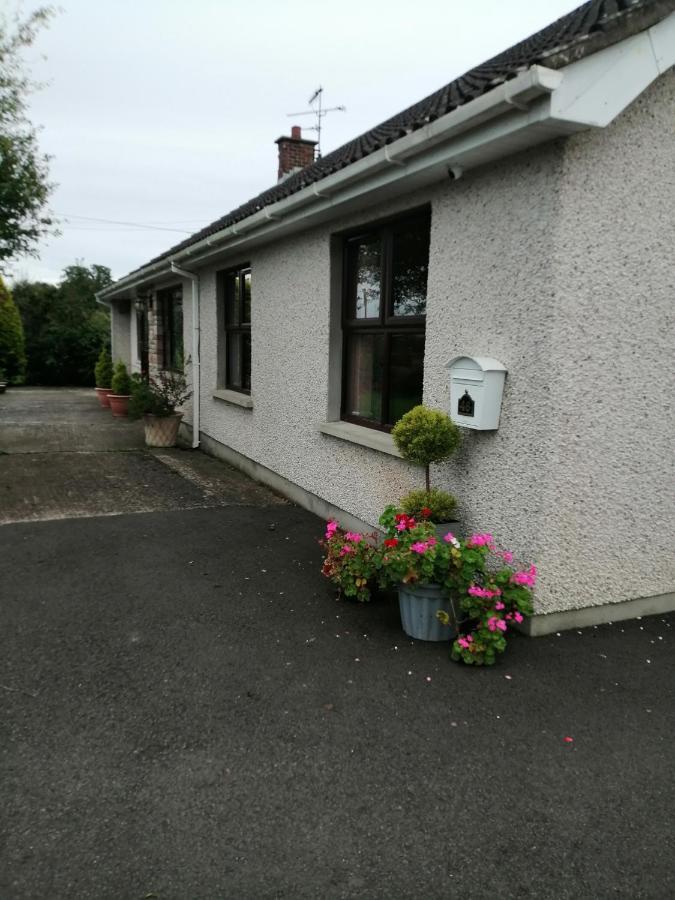 Lynn'S Lodge, International Airport 15Mins Randalstown Exterior foto